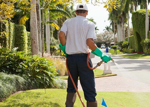 About Wellsville PA Pest Control Pros